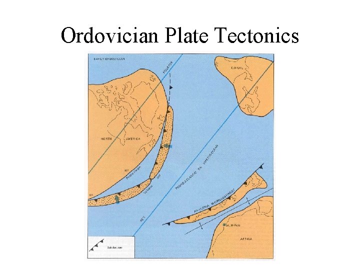 Ordovician Plate Tectonics 