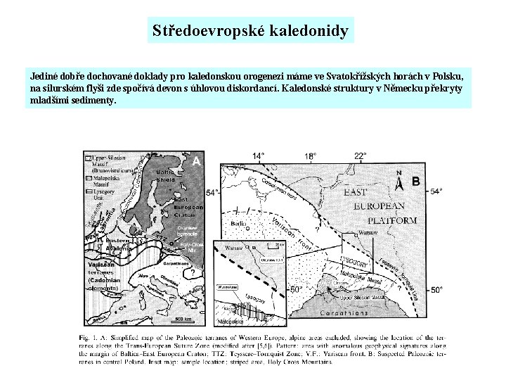 Středoevropské kaledonidy Jediné dobře dochované doklady pro kaledonskou orogenezi máme ve Svatokřížských horách v