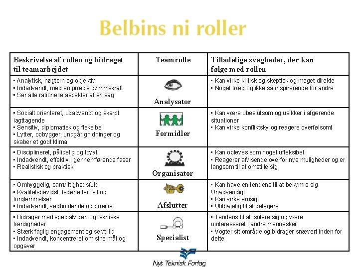 Beskrivelse af rollen og bidraget til teamarbejdet • Analytisk, nøgtern og objektiv • Indadvendt,