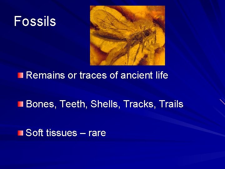 Fossils Remains or traces of ancient life Bones, Teeth, Shells, Tracks, Trails Soft tissues