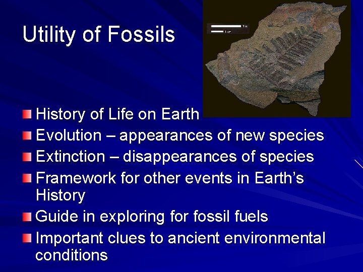 Utility of Fossils History of Life on Earth Evolution – appearances of new species