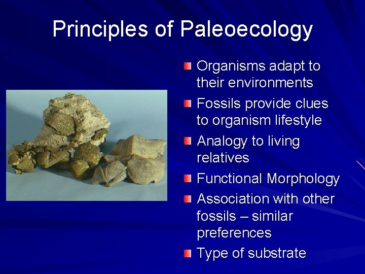 Principles of Paleoecology Organisms adapt to their environments Fossils provide clues to organism lifestyle