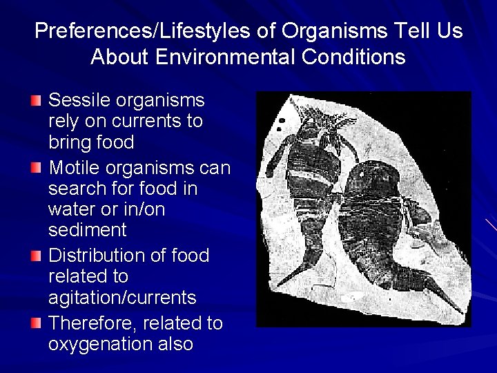 Preferences/Lifestyles of Organisms Tell Us About Environmental Conditions Sessile organisms rely on currents to