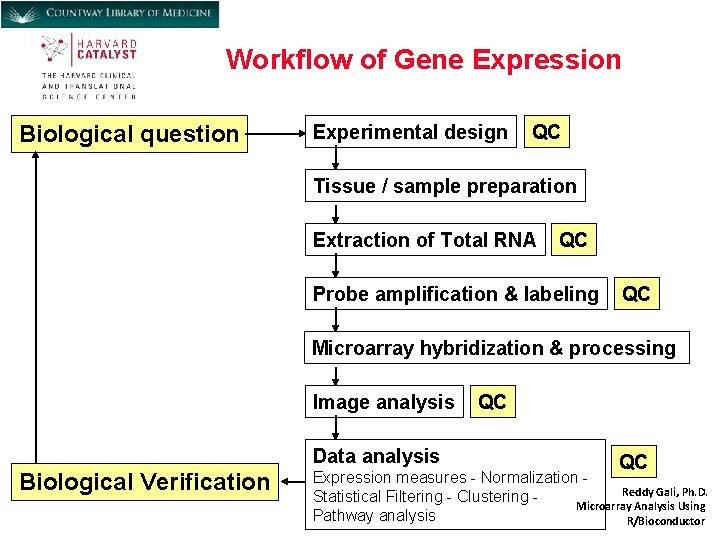 Workflow of Gene Expression Biological question Experimental design QC Tissue / sample preparation Extraction