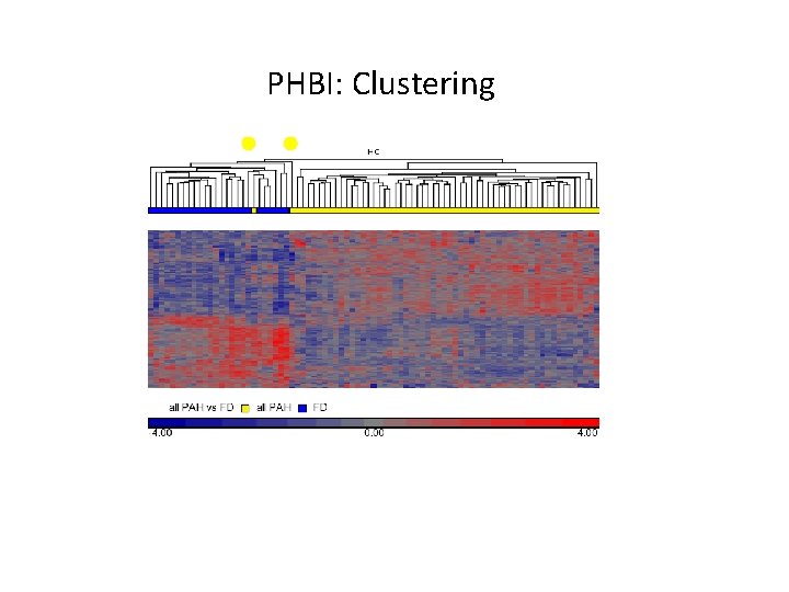 PHBI: Clustering 