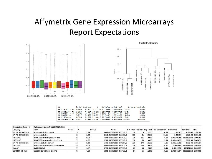 Affymetrix Gene Expression Microarrays Report Expectations 