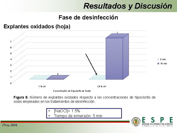 Resultados y Discusión Fase de desinfección Explantes oxidados (hoja) 7 7 6 5 4