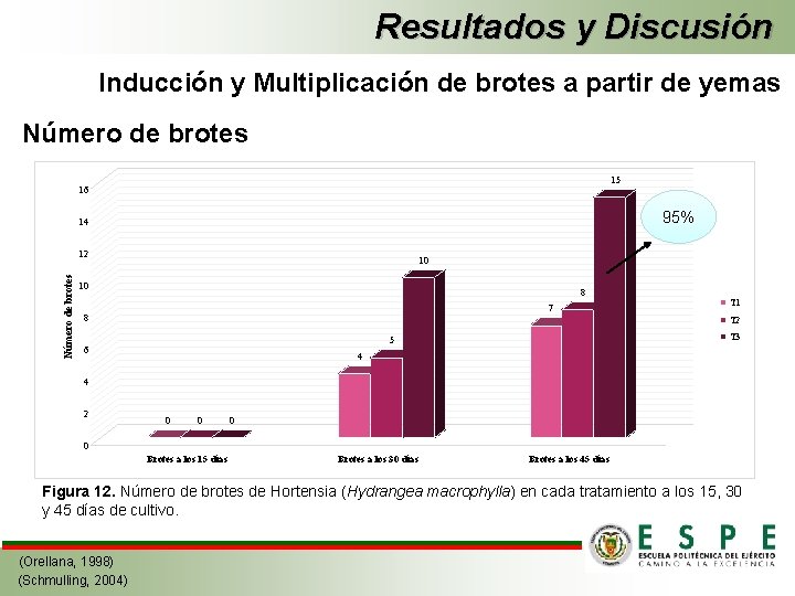 Resultados y Discusión Inducción y Multiplicación de brotes a partir de yemas Número de