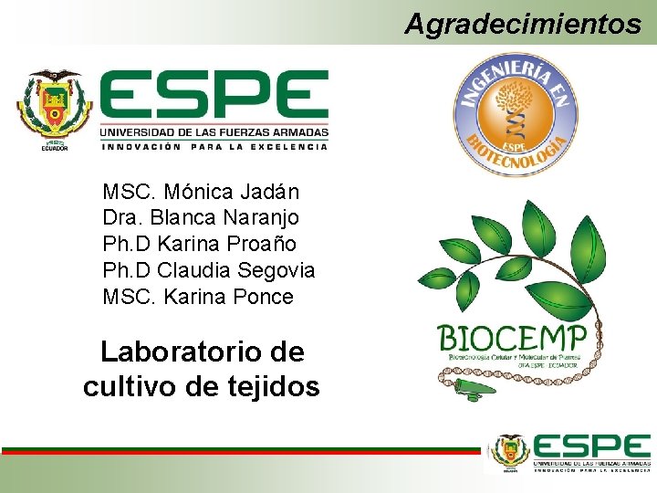 Agradecimientos MSC. Mónica Jadán Dra. Blanca Naranjo Ph. D Karina Proaño Ph. D Claudia