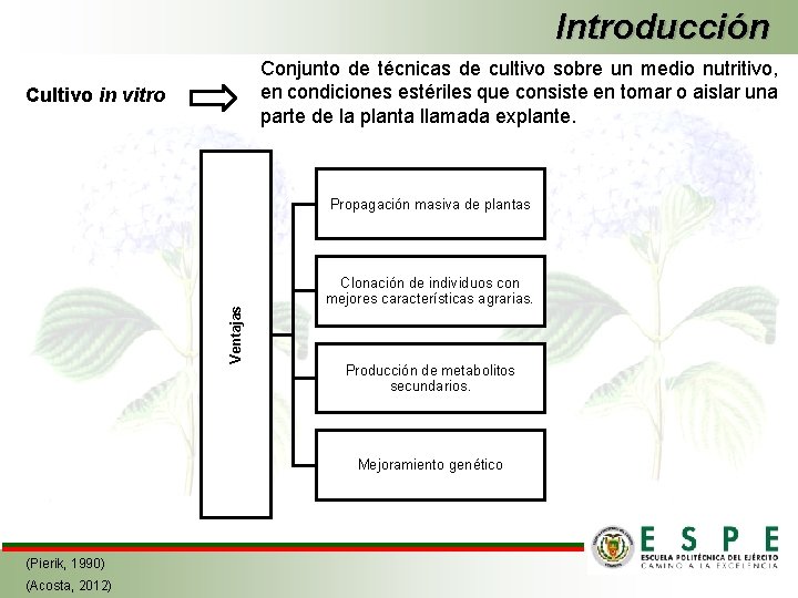 Introducción Conjunto de técnicas de cultivo sobre un medio nutritivo, en condiciones estériles que