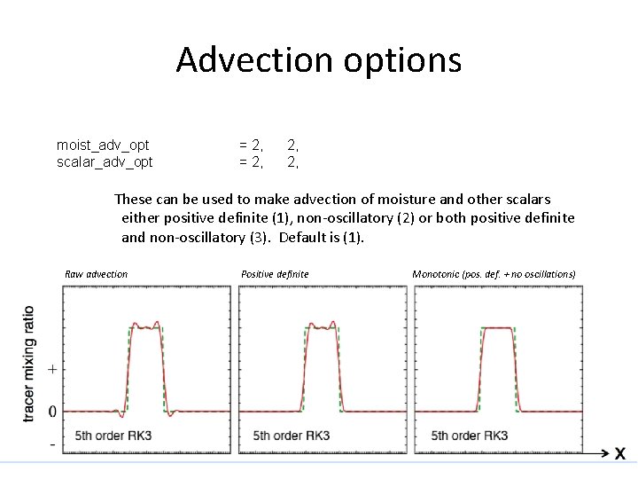 More on NESIS model levels diffusers advection and