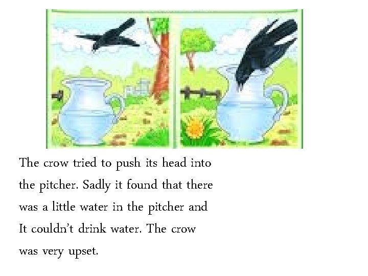 The crow tried to push its head into the pitcher. Sadly it found that