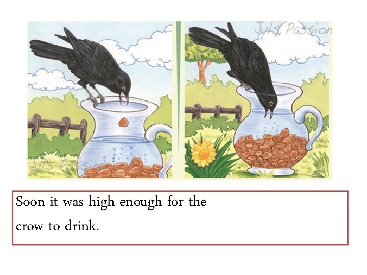 Soon it was high enough for the crow to drink. 