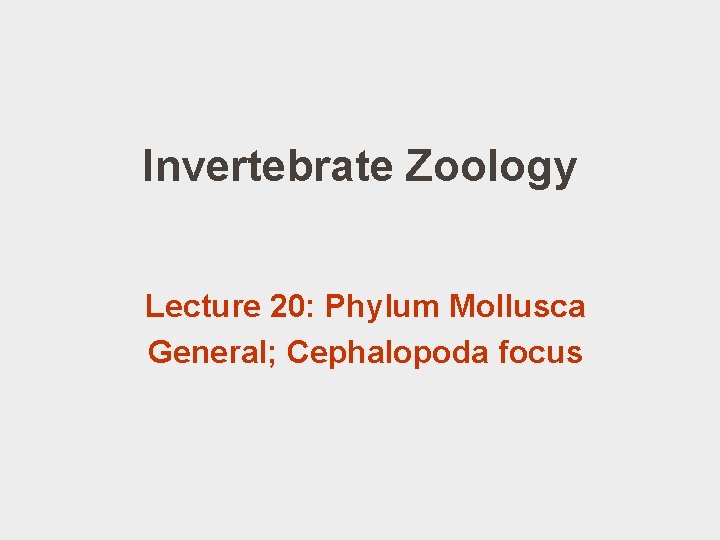 Invertebrate Zoology Lecture 20: Phylum Mollusca General; Cephalopoda focus 