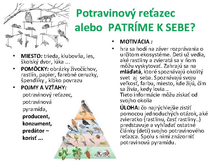  Potravinový reťazec alebo PATRÍME K SEBE? • MIESTO: trieda, klubovňa, les, školský dvor,