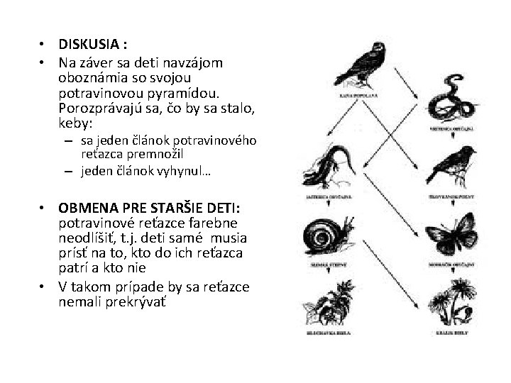  • DISKUSIA : • Na záver sa deti navzájom oboznámia so svojou potravinovou