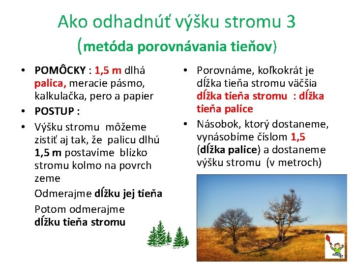 Ako odhadnúť výšku stromu 3 (metóda porovnávania tieňov) • POMÔCKY : 1, 5 m