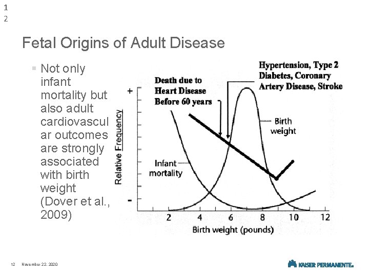 1 2 Fetal Origins of Adult Disease § Not only infant mortality but also