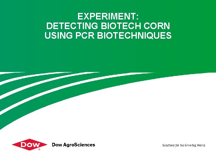 EXPERIMENT: DETECTING BIOTECH CORN USING PCR BIOTECHNIQUES 