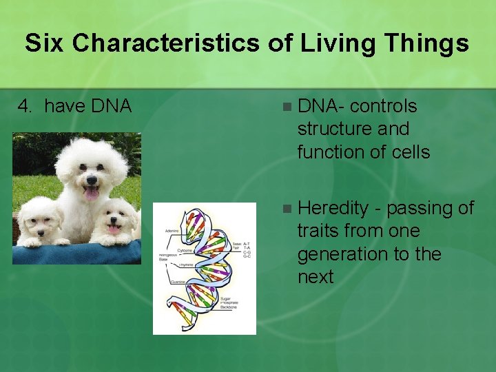 Six Characteristics of Living Things 4. have DNA n DNA- controls structure and function