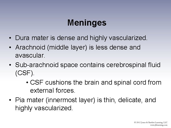 Meninges • Dura mater is dense and highly vascularized. • Arachnoid (middle layer) is