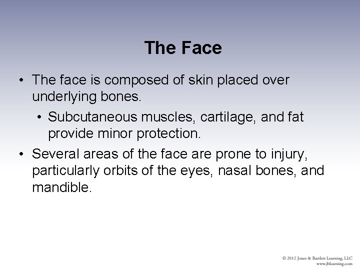 The Face • The face is composed of skin placed over underlying bones. •