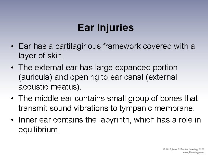 Ear Injuries • Ear has a cartilaginous framework covered with a layer of skin.