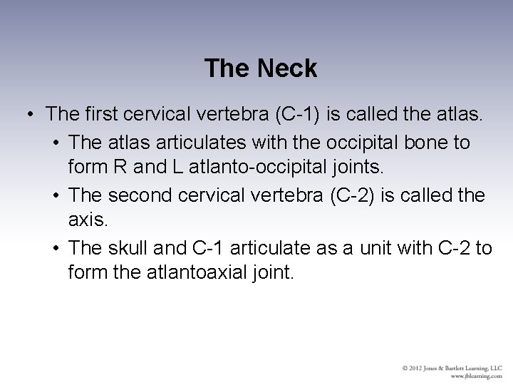 The Neck • The first cervical vertebra (C-1) is called the atlas. • The