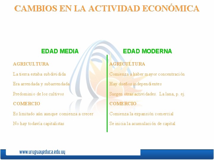 CAMBIOS EN LA ACTIVIDAD ECONÓMICA EDAD MEDIA EDAD MODERNA AGRICULTURA La tierra estaba subdividida