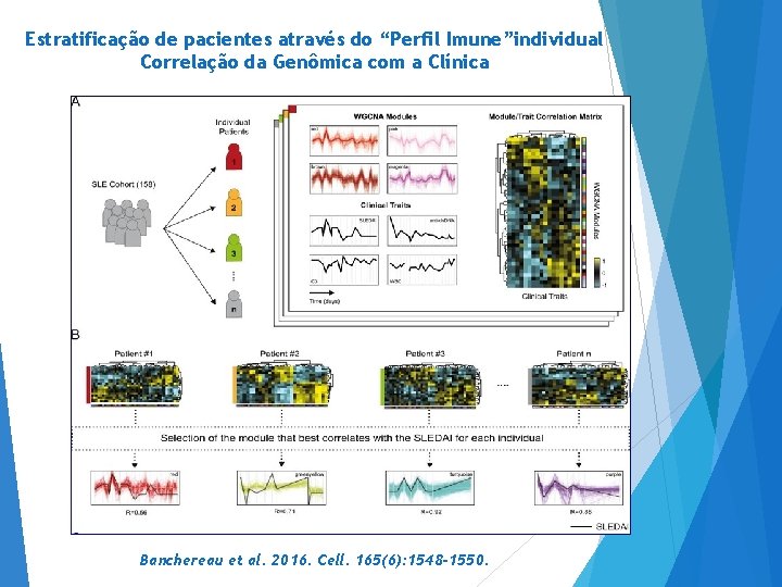 Estratificação de pacientes através do “Perfil Imune”individual Correlação da Genômica com a Clínica Banchereau