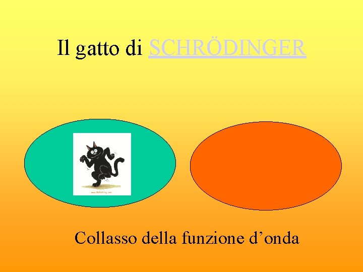 Il gatto di SCHRÖDINGER Collasso della funzione d’onda 