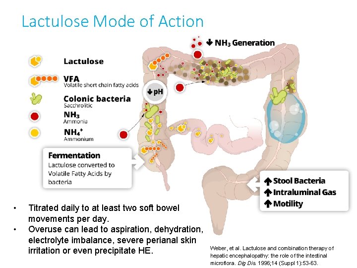 Lactulose Mode of Action • • Titrated daily to at least two soft bowel