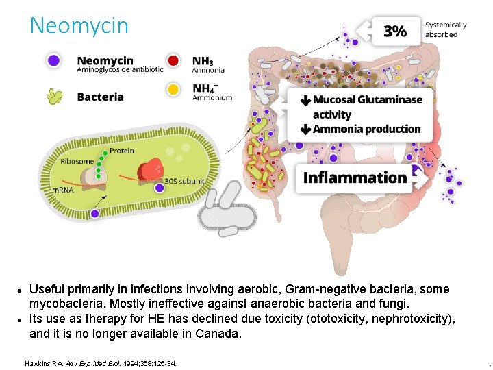 Neomycin Useful primarily in infections involving aerobic, Gram-negative bacteria, some mycobacteria. Mostly ineffective against