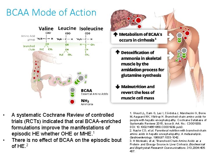 BCAA Mode of Action • • A systematic Cochrane Review of controlled trials (RCTs)