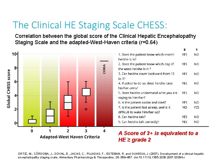 The Clinical HE Staging Scale CHESS: Correlation between the global score of the Clinical