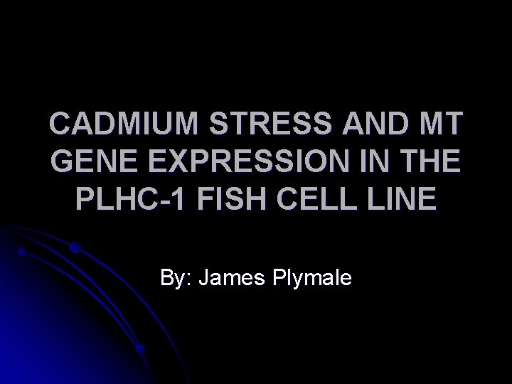 CADMIUM STRESS AND MT GENE EXPRESSION IN THE PLHC-1 FISH CELL LINE By: James CADMIUM STRESS AND MT GENE EXPRESSION IN THE PLHC-1 FISH CELL LINE By: James