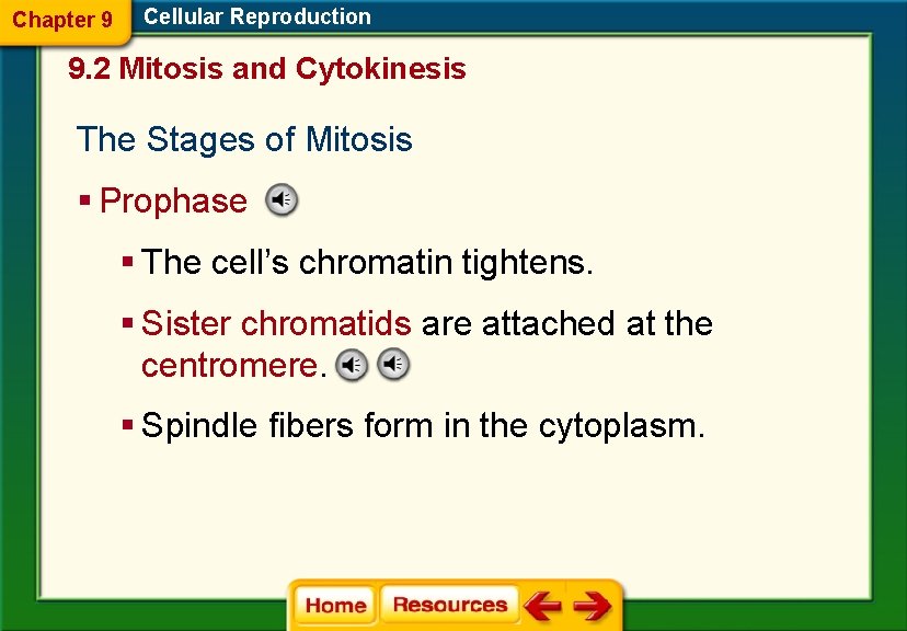 Chapter 9 Cellular Reproduction 9. 2 Mitosis and Cytokinesis The Stages of Mitosis §