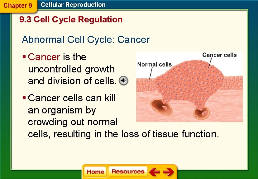 Chapter 9 Cellular Reproduction 9. 3 Cell Cycle Regulation Abnormal Cell Cycle: Cancer §