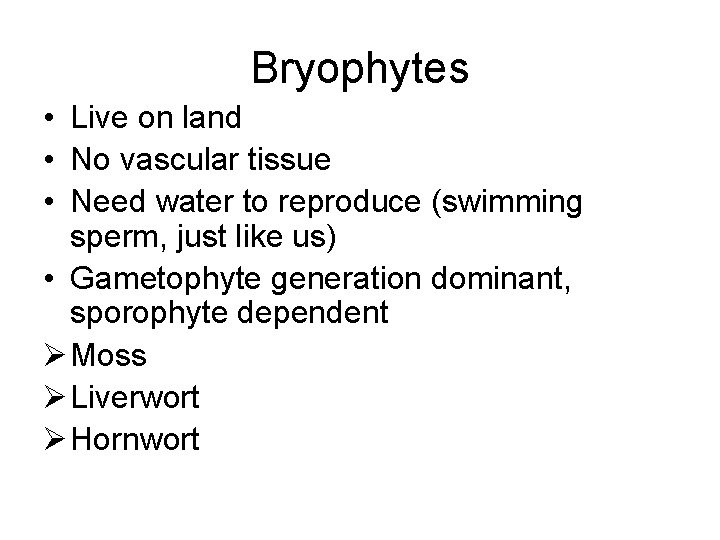 Bryophytes • Live on land • No vascular tissue • Need water to reproduce