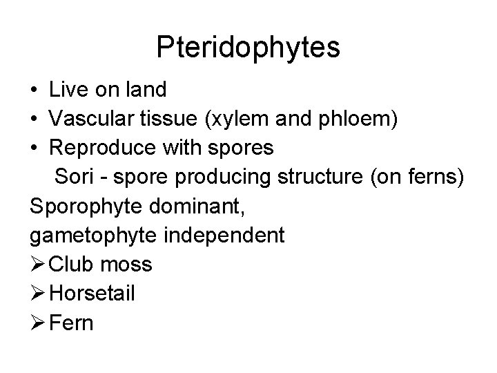Pteridophytes • Live on land • Vascular tissue (xylem and phloem) • Reproduce with