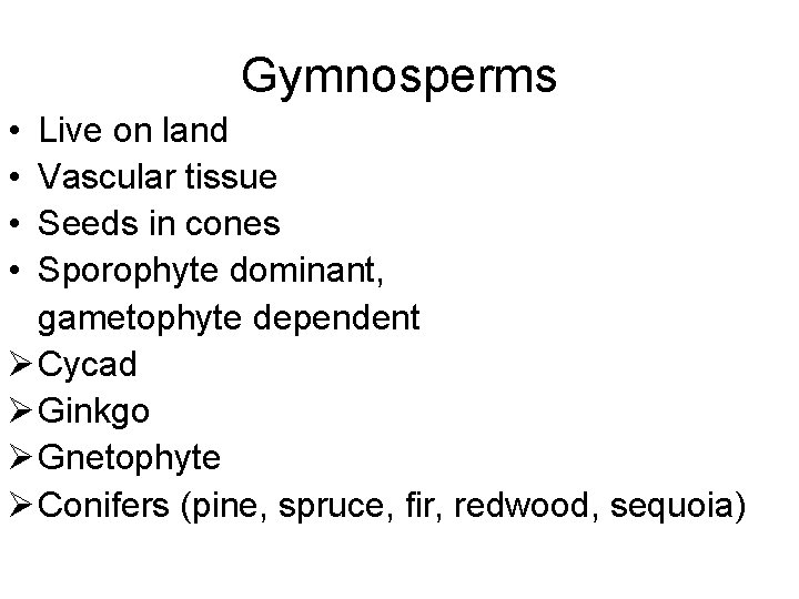 Gymnosperms • • Live on land Vascular tissue Seeds in cones Sporophyte dominant, gametophyte