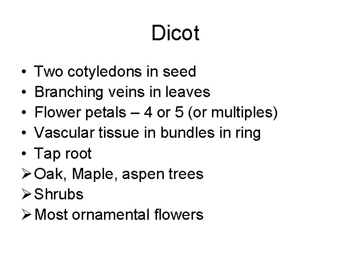Dicot • Two cotyledons in seed • Branching veins in leaves • Flower petals