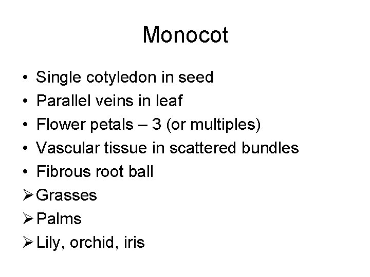 Monocot • Single cotyledon in seed • Parallel veins in leaf • Flower petals