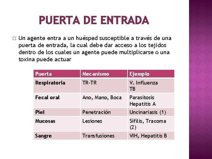 PUERTA DE ENTRADA � Un agente entra a un huésped susceptible a través de