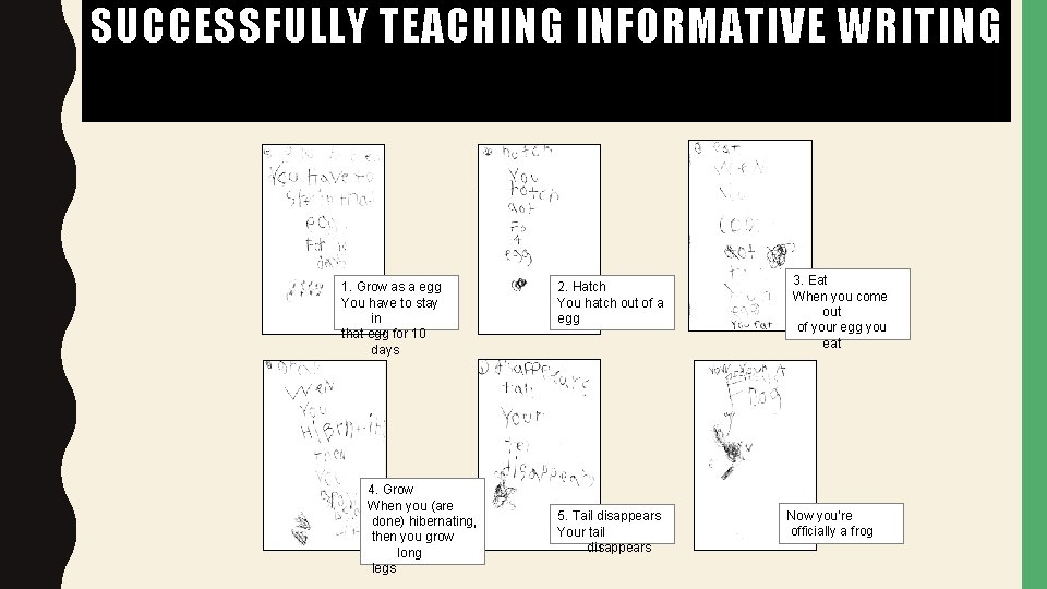 SUCCESSFULLY TEACHING INFORMATIVE WRITING 1. Grow as a egg You have to stay in