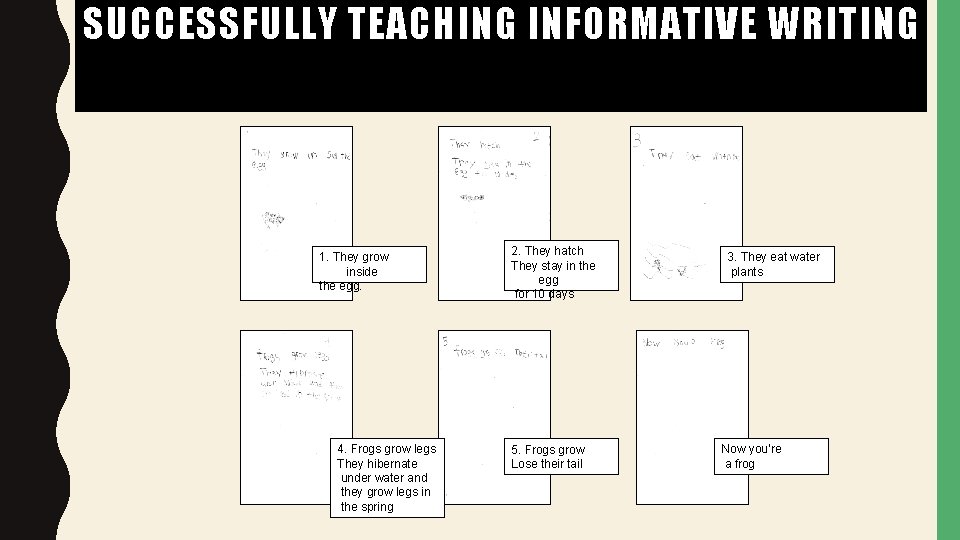 SUCCESSFULLY TEACHING INFORMATIVE WRITING 1. They grow inside the egg. 4. Frogs grow legs