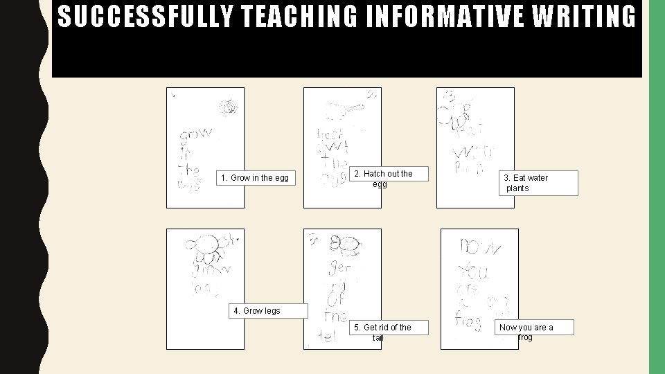 SUCCESSFULLY TEACHING INFORMATIVE WRITING 1. Grow in the egg 2. Hatch out the egg