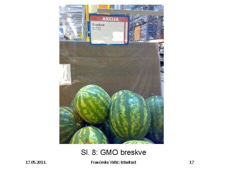 Sl. 8: GMO breskve 17. 05. 2011. Frančeska Vidić: Istinitost 17 
