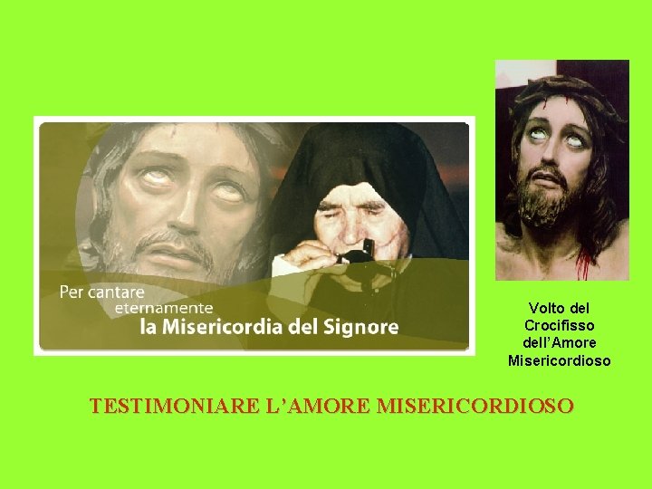 Volto del Crocifisso dell’Amore Misericordioso TESTIMONIARE L’AMORE MISERICORDIOSO 