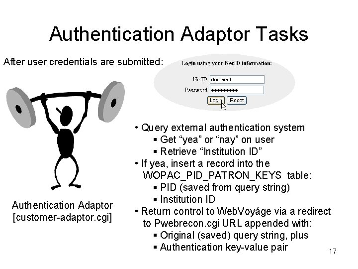 Authentication Adaptor Tasks After user credentials are submitted: Authentication Adaptor [customer-adaptor. cgi] • Query